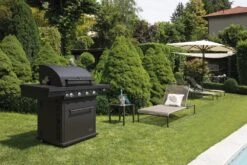 Boretti Maggiore Antraciet Gas Buitenkeuken 7 Boretti Maggiore Antraciet Gas Buitenkeuken -Barbecue Wereld Verkoop boretti maggiore antraciet gas buitenkeuken 1000x667 62065ab7b1c54 l