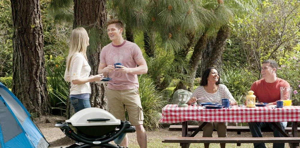 Weber® Q 1000 Gasbarbecue 3 Weber® Q 1000 Gasbarbecue - Afbeelding 3