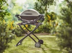 Barbecue Wereld Verkoop -Barbecue Wereld Verkoop weber onderstel geschikt voor q 1000 en 2000 serie 1615542866 1 l