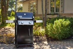 Weber® Spirit E-215 GBS Gasbarbecue 6 Weber® Spirit E-215 GBS Gasbarbecue -Barbecue Wereld Verkoop weber spirit e 215 gbs gasbarbecue 1614598416 l